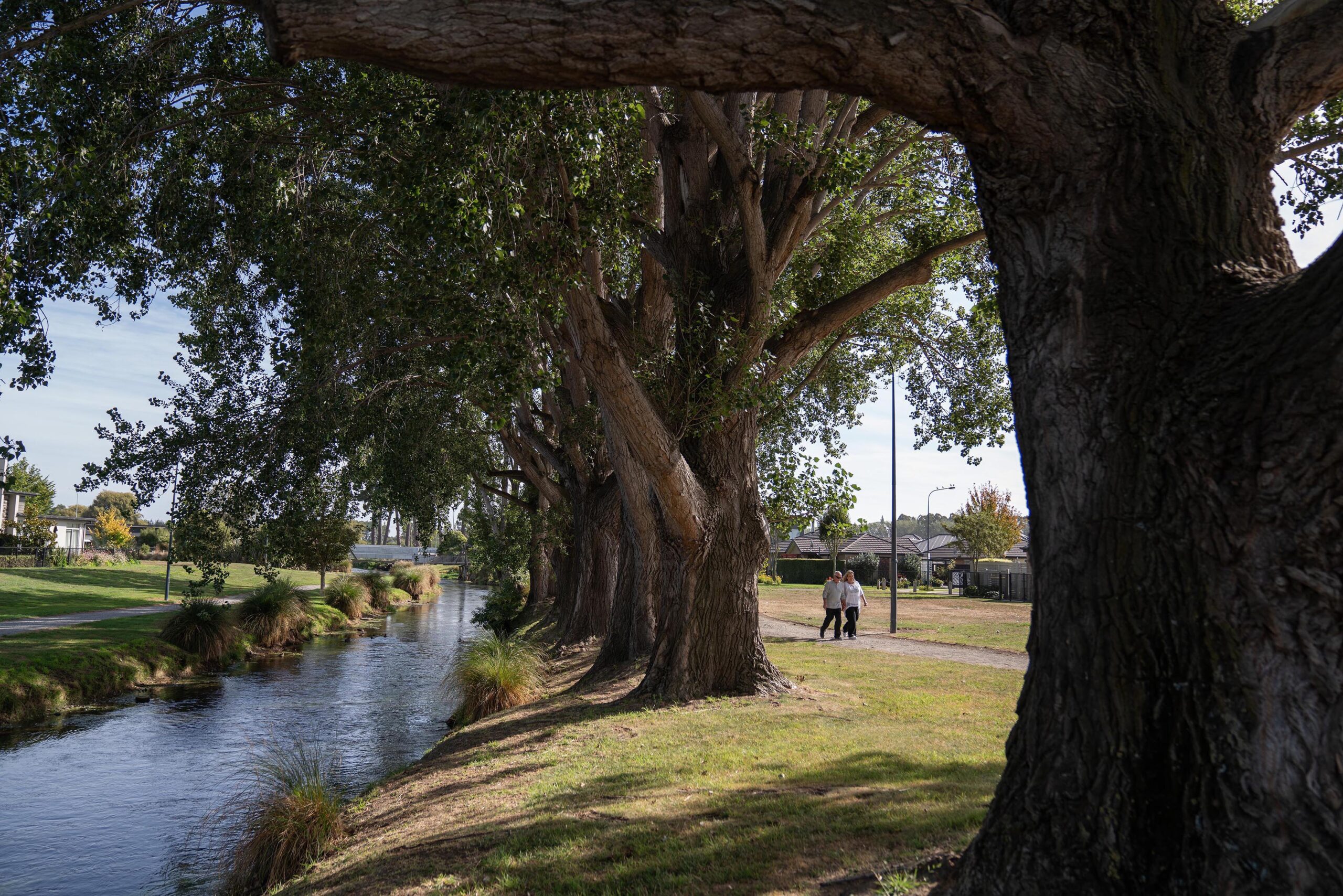 SS_DSC05964_Web_Apr24