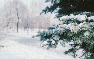 Benefits of Retirement Village Living in Winter
